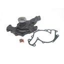 US Motor Works US5003: US5003 Water Pump