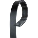 ACDelco 19244950: V-Ribbed Serpen (SLP-P1)