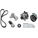 Ford Performance M-8600-SD73: 7.3L GAS ENGINE FEAD KIT