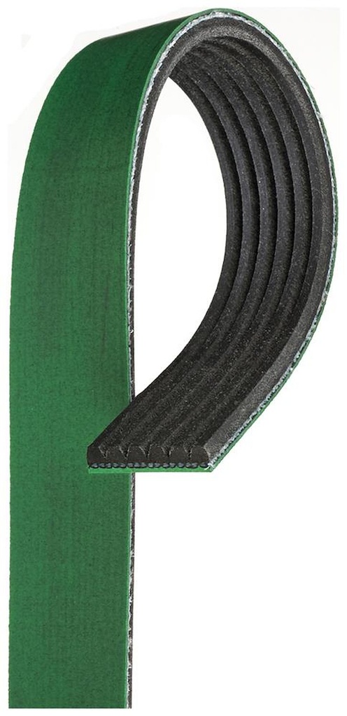 ACDelco K061031HD: V-Ribbed Serpen (PARITY)