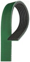 ACDelco K061031HD: V-Ribbed Serpen (PARITY)