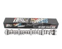 Brian Tooley Racing BTR TRUCKNORRIS: BTR-TRUCKNORRIS Hydraulic Roller Camshaft for GM Gen III/IV LS Truck Engines