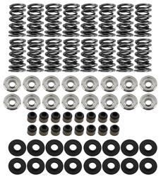 BTR Platinum Valve Spring Kits