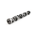 Brian Tooley Racing BTR BTR-REDHOT: BTR-REDHOT Hydraulic Roller Camshaft for GM Gen III/IV LS Engines