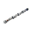 COMP Cams 07-468-8: XFI Hydraulic Roller Camshaft GM LT1 & LT4 350ci 1995-97 Lift: .584"/.579" With 1.6 Rockers