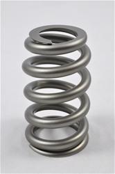 PAC Racing RPM Series Valve Springs