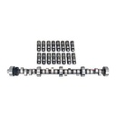 COMP Cams CL31-600-8: Thumpr Retro-Fit Hydraulic Roller Camshaft & Lifter Kit Lift: .531"/.515"