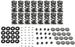 BTR Platinum Valve Spring Kits