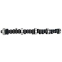Howards Cams 217081-13: American Muscle Hydraulic Flat Tappet Camshaft 1963-1995 Ford 221-302
