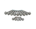 Brian Tooley Racing BTR BTR00568: BTR00568 Head Bolt Kit for GM LS Engines (04+)
