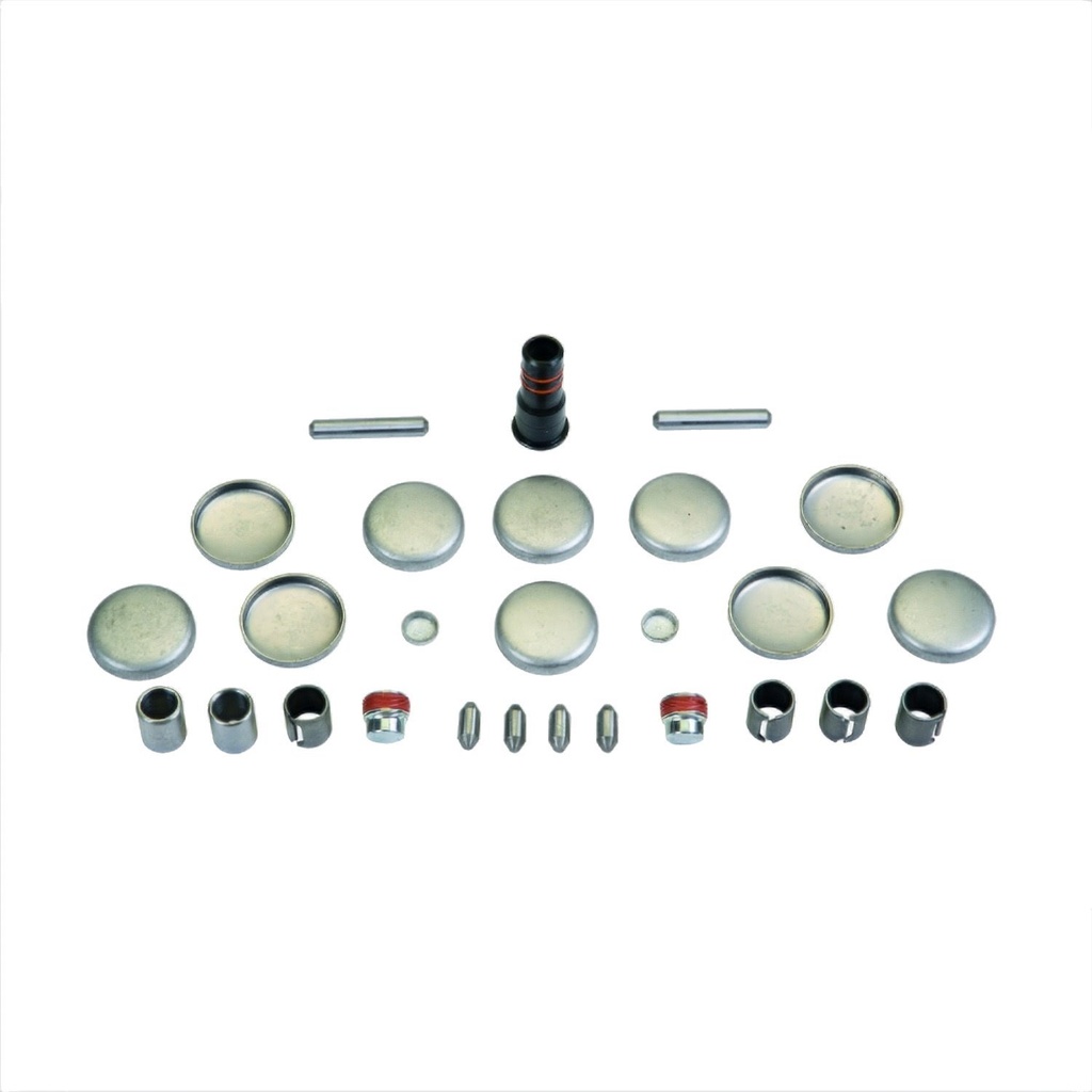 Ford Performance M-6026-CI46: Freeze Plug and Dowel Pin Kit Fits: M-6010-BOSS50 Block