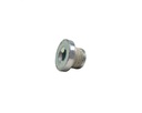Brian Tooley Racing BTR BTR88949: BTR88949 Small Coolant Plug for GM Gen III/IV LS Engines