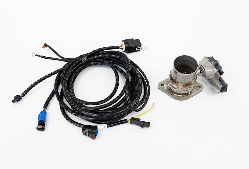 Roush Performance 422265: 422265 Active Exhaust Upgrade Kit Fits Select Ford F-150 5.0L