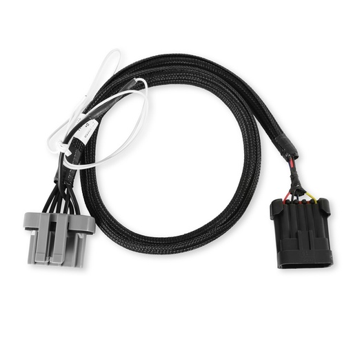 [HLY-558-305] Holley 558-305: 558-305 Dominator, HP & Avenger EFI Ford TFI Ignition Harness