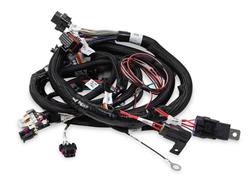 [HLY-558-111] Holley EFI Systems Wiring Harnesses