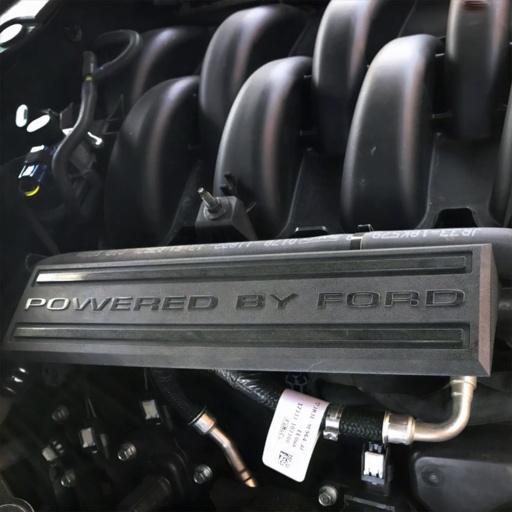 [FMS-M-9680-M50BA] Ford Performance M-9680-M50BA: 5.0L ENGINE DRESS UP KIT