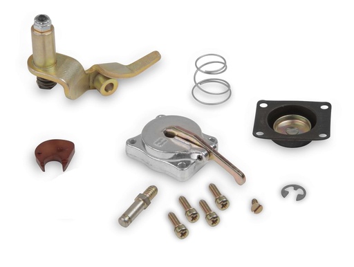 [HLY-20-11SA] Holley 20-11SA: 20-11SA 50cc Accelerator Pump Kit Gold Hardware