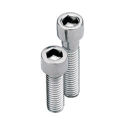 [SUM-56250SSP] Summit Racing™ Engine Bolt Kits