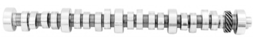 [FMS-M-6250-E303] Ford Performance M-6250-E303: E303 Camshaft Trans: 5-Speed/Automatic