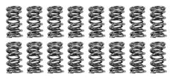[BTC-SK007-0560BB] BTR Platinum Valve Spring Kits