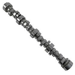 [BTC-BTRLS3STAGE4] BTR V2 Series Camshafts
