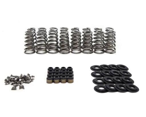 [BTC-SK013] Brian Tooley Racing BTR SK013: SK013 Conical Spring Kit, GM Gen V LT, .650 in. Lift