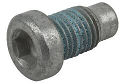 [ADO-11610259] ACDelco 11610259: PLUG - CYLINDER (SLP-1)
